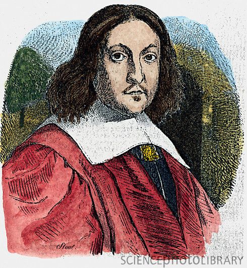 a biography of the mathematician pierre de fermat a biography of the mathematician pierre de fermat