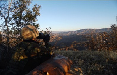 Lice'de PKK'ya ağır darbe Lice'de PKK'ya ağır darbe