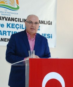 Türer'den Kurban Bayramı Öncesinde Kırmızı ET İthalatı Uyarısı Türer'den Kurban Bayramı Öncesinde Kırmızı ET İthalatı Uyarısı