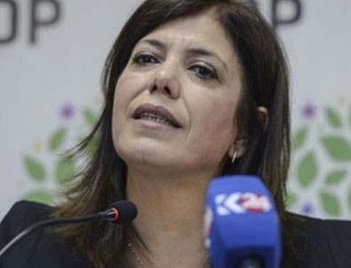 HDP'li Beştaş'ın Türk bayrağı rahatsızlığı