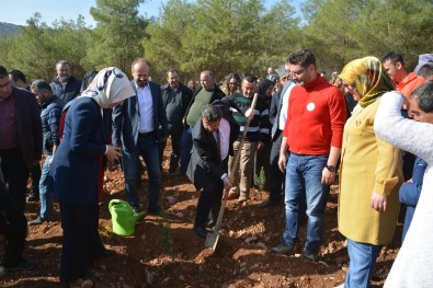 Korkuteli Nde 4 Bin 500 Fidan Toprakla Bulustu Antalya Iline Bagli Korkuteli Ilcesi