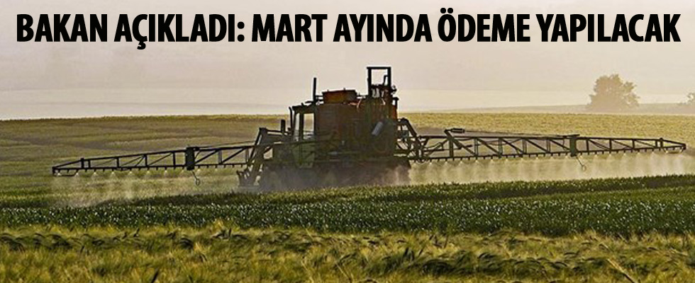 Destek ödemeleri açıklaması