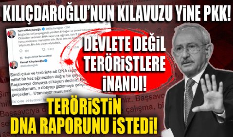 Kılıçdaroğlu'nun kılavuzu yine PKK: Devlete değil onlara inanıp teröristin DNA raporunu istedi!
