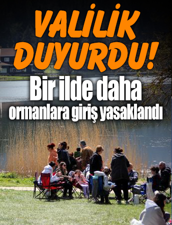 Valilik duyurdu Bir ilde daha ormanlara giriş yasaklandı