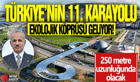 Türkiye'nin 11. karayolu ekolojik köprüsü geliyor! 250 metre uzunluğunda olacak