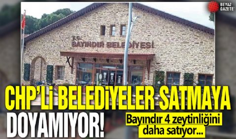 CHP'li belediyeler satmaya doyamıyor! Bayındır 4 zeytinliğini daha satıyor...