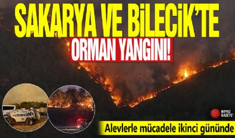 Sakarya ve Bilecik’te orman yangını! Alevlerle mücadele ikinci gününde