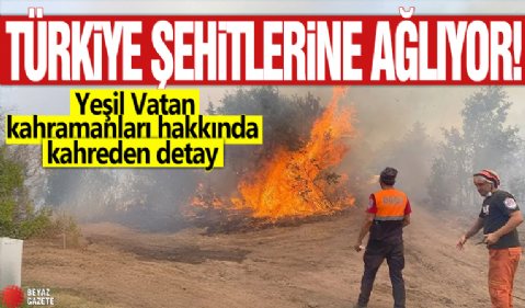 Türkiye şehitlerine ağlıyor! Yeşil Vatan kahramanları hakkında kahreden detay