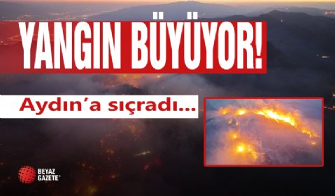 Orman yangını sürüyor! O ilde yoğun çalışma...