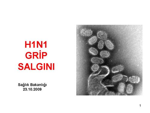 Bakanlık domuz gribi ile ilgili sunum yayınladı