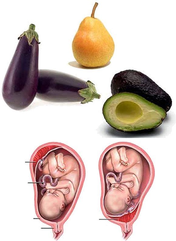 Hangi meyve hangi organa benziyor?