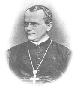 Gregor Mendel foto galeri