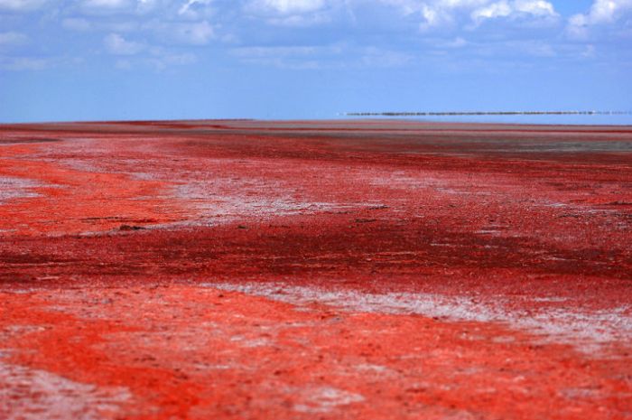 Tuz Gölü kırmızıya boyandı