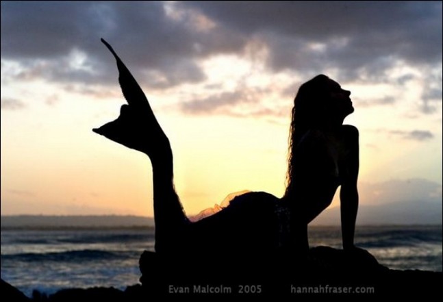 İşte Gerçeği Burada !