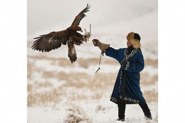 Avcı Kartallar!
