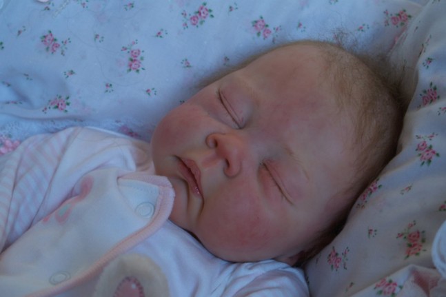 Bu Bebekler Canlı Değil