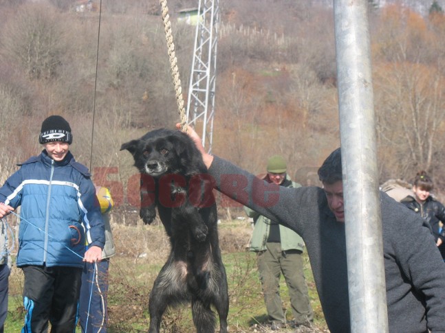 Şoke Eden Kuduz Ayini!