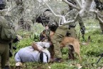 israil - Filistinli Gence Akıl Almaz İşkence