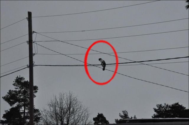 Herkes Şaşkına Döndü