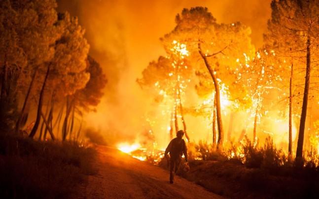 Avrupanın Güney Kesimi Orman Yangınlarına Teslim