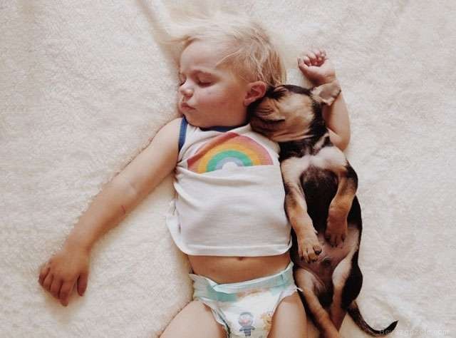 Kıskandıran Dostluk