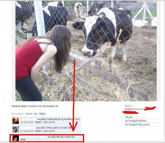 En Komik Facebook Dialogları