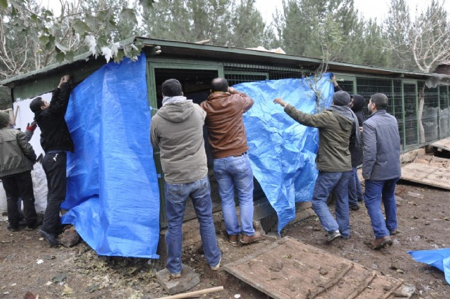 Eşeklere Yardım Eli Uzandı