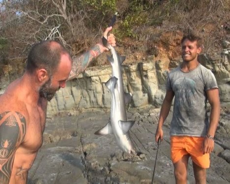 Survivor Yarışmacıları Köpek Balığı Yakaladı