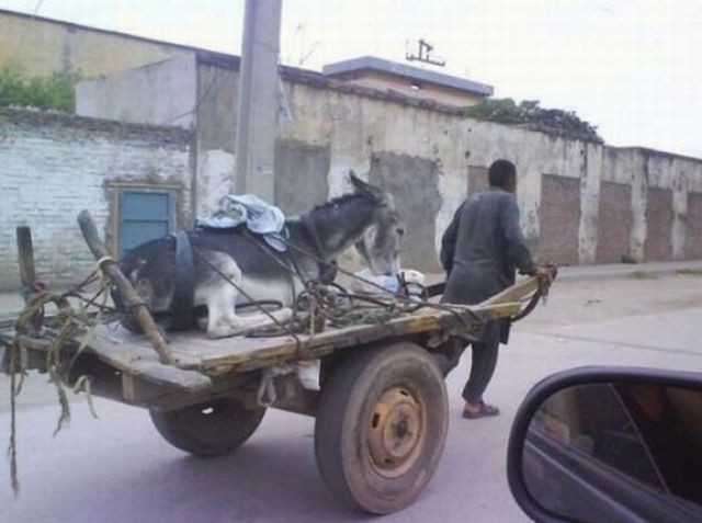 Bu Karelerde Bir Terslik Var