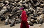 tibet - Ölülerini Akbabalara Yediriyorlar