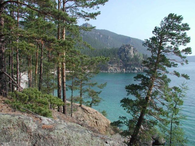 Dünyanın 'En' leri