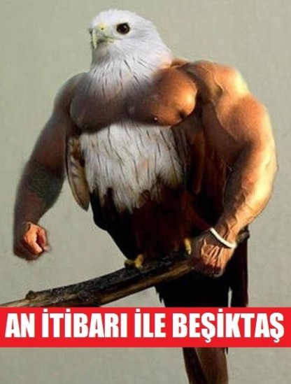 Partizan - Beşiktaş Maçı Capsları