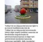 facebook - En Çok Beğenilen Facebook Paylaşımları