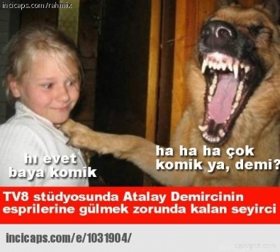 facebook - En Çok Paylaşılan Fotoğraflar / 10 Aralık