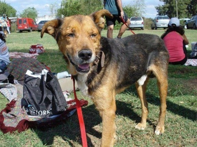 Ölümden Kurtuldular (Önceleri Ve Sonraları)