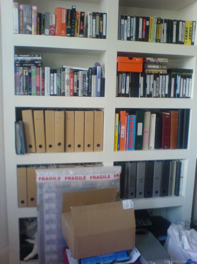 Zeka Testi.. Kediler Nerede?