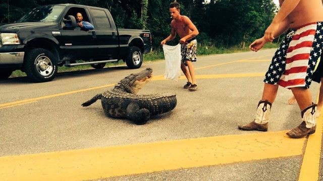 Zekada sınır tanımıyorlar