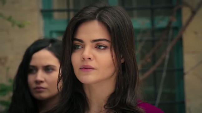 Черный цветок турецкая на русском языках. Черный цветок турецкая на русском языках. Черный цветок турецкая на русском языках. Черный цветок турецкая на русском языках. Черный цветок турецкая на русском языках.