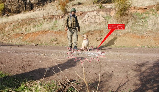 Diyarbakır Dicle'de Terör Operasyonu