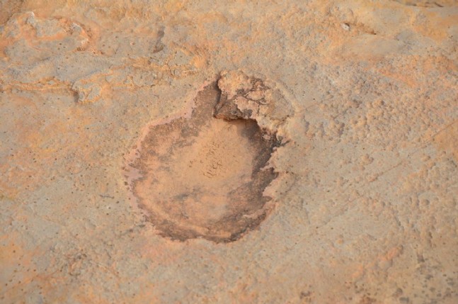 Tunus'ta Dinazorların Ayak İzleri