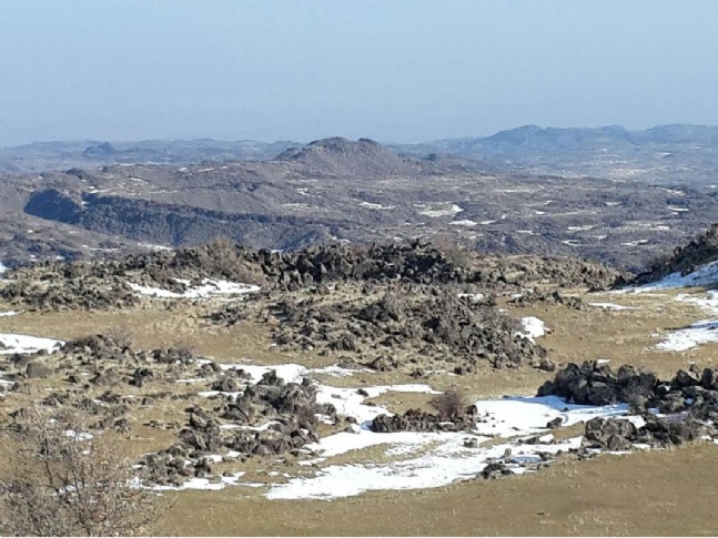 Iğdır'da Terör Operasyonu