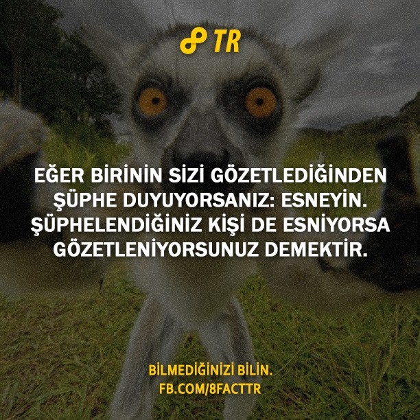 Az bilinen gerçekler
