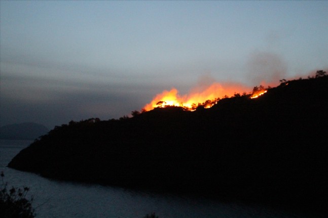 Marmaris'te Orman Yangını
