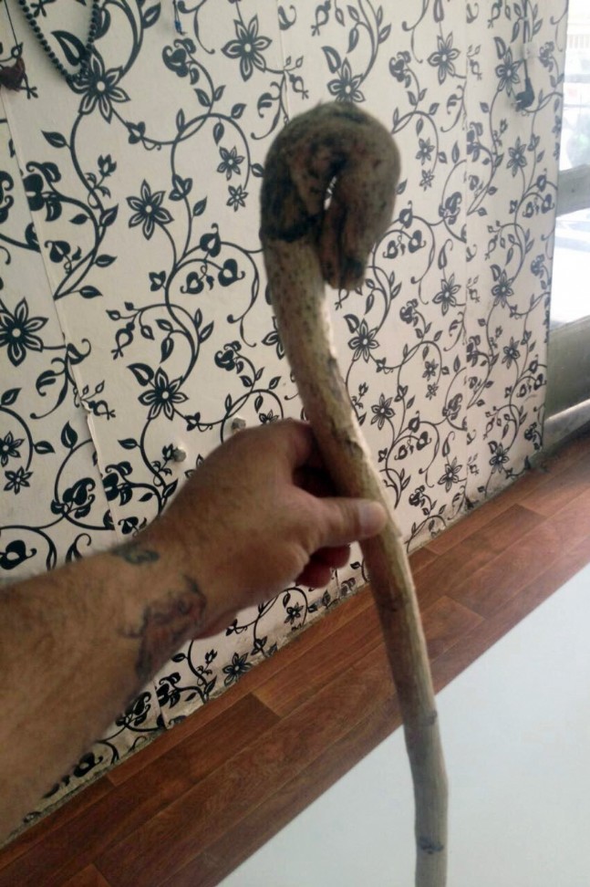 Yılan Değil Ağaç Dalı!