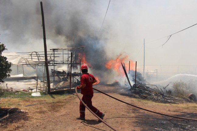 Kumluca'da Orman Yangını