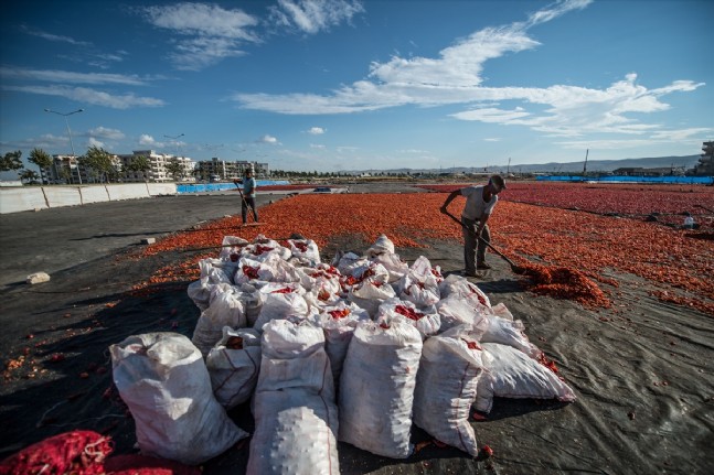 Kışa Acı Hazırlık