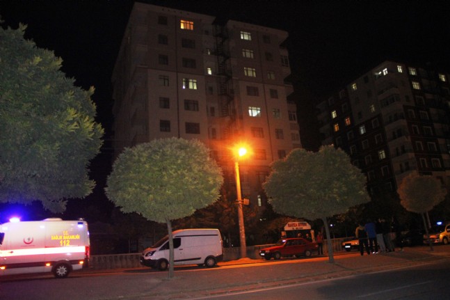 7'inci Kattan Atladı Çam Ağacının Üzerine Düştü