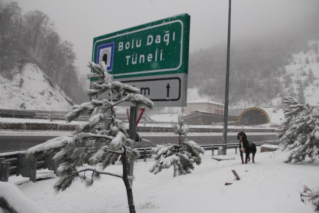 Bolu Dağı'nda Kar Yağışı Etkili Oluyor