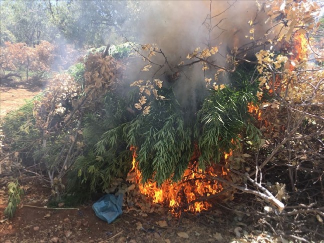 Diyarbakır'da 2 El Yapımı Patlayıcı İmha Edildi