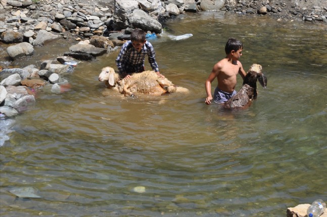 Muşlu Çocuklar Şelalede Serinledi